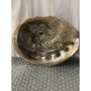 Abalone Shell Mother Of Pearl Beach Nautical Shelves Aquarium Decor Craft 8”